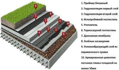 Плоская.jpg?lang=ru